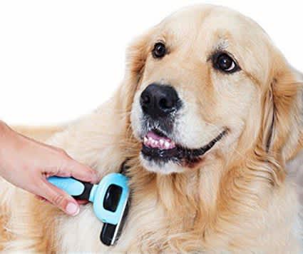 Pet Grooming Brush – Easy Hair Removal for Cats & Dogs