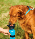 Aqua Dog Water Bottle – Portable Pet Hydration Solution