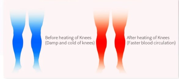 Knee Massager with Heat & Kneading – Electric Joint Pain Relief